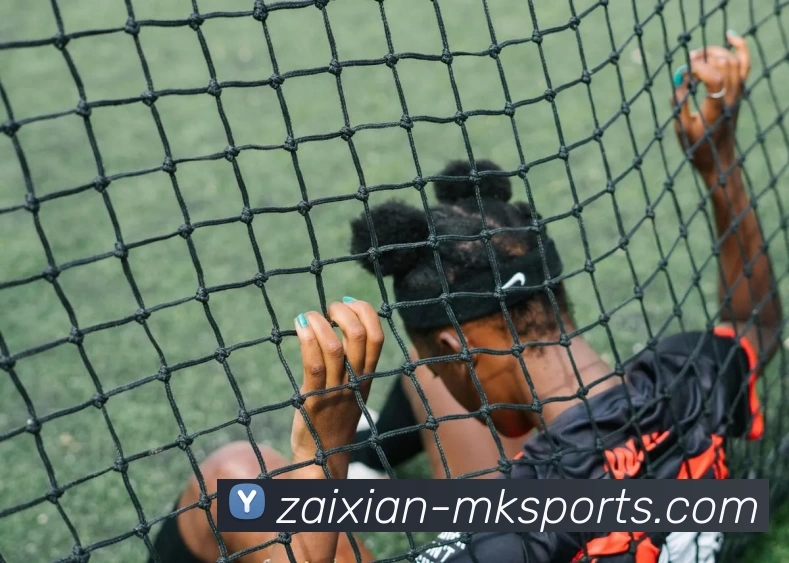 MK体育APP 封面图